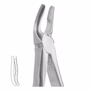 Extracting Forceps No.7